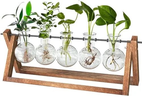 Blumenvase Vintage Kleine Vasen Für Tischdeko Modern Pflanzen Terrarium Glas Mit Ständer Holz Deko Vase Reagenzgläser Vermehrungsstation