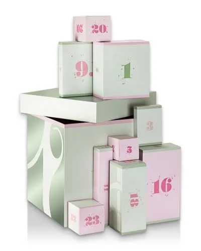 Sallys Adventskalender 2025 Vorverkauf - Weihnachtskalender Kochen und Backen wiederverwendbar DIY Adventskalender extra groß limitierte Auflage, 24 Überraschungen