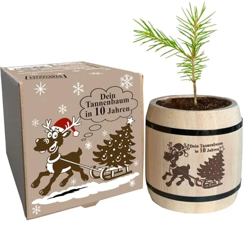Wichtelgeschenk Weihnachtsbaum Anzuchtset - witziges Geschenk für Weihnachten, Nikolausgeschenk, Julklapp, Tannenbaum als komplettes Starter Set
