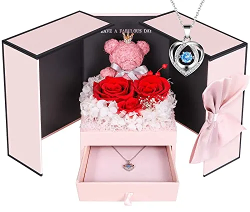 ADDWel Ewige Rose mit Damen Herz Halskette Silber 925, Skette mit Rote Infinity Rose Geschenke Box für Freundin, Geschenke für Frauen Geburtstag, Weihnachtstag, Valentinstag, Muttertag